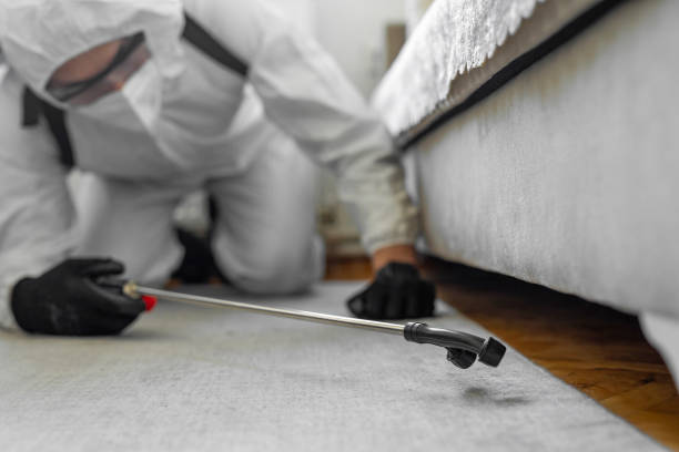 Professional Bed Bug Control technician working in Teviston, CA